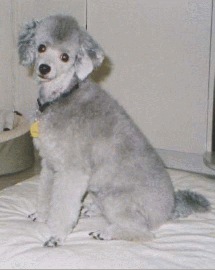 Mitzi at 10 months