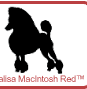 Calisa Poodles - The finest in reds